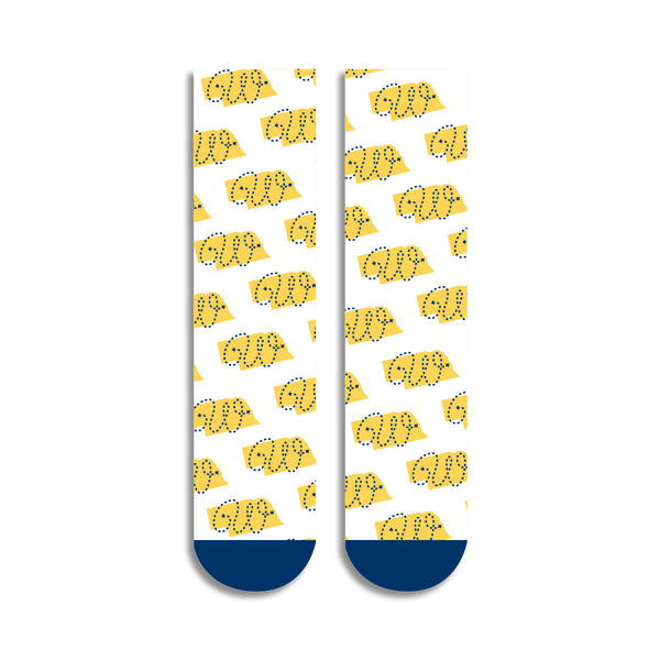 NSHSF: Wander Nebraska Socks