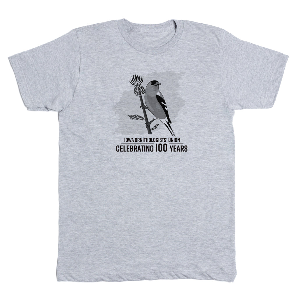 Celebrating 100 Years Shirt – Raygun Custom